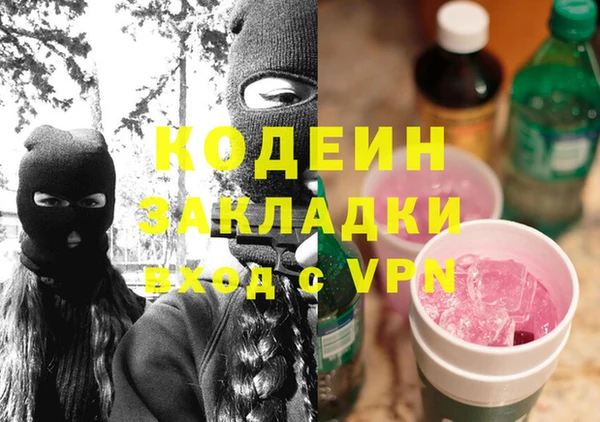 шишки Алексин