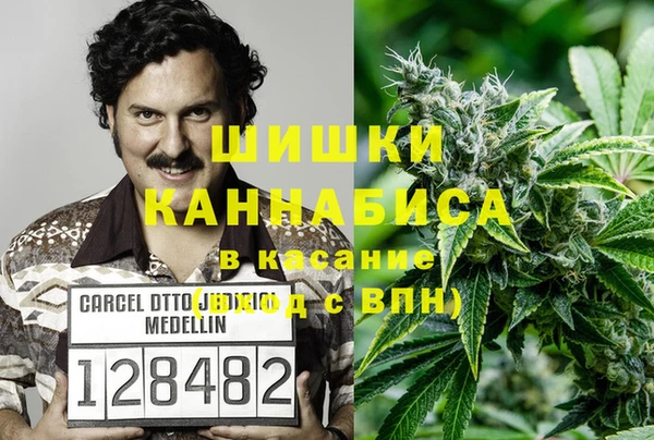 шишки Алексин